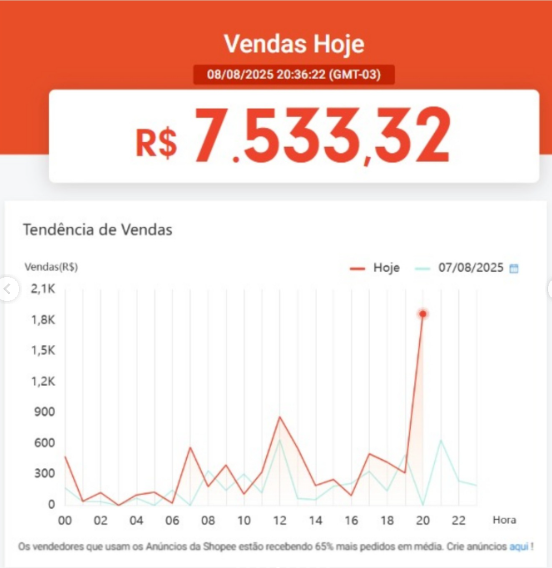 Print de resultado 2