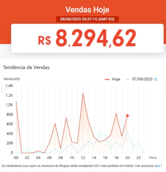 Print de resultado 3